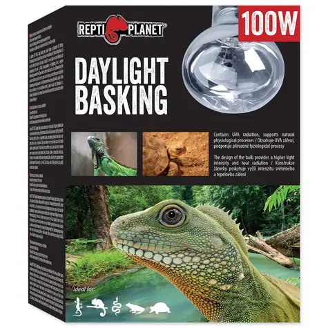 Repti Planet žiarovka Daylight Basking Spot 100W