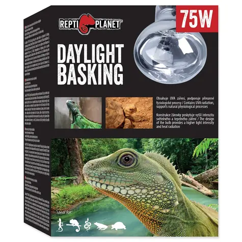 Repti Planet žiarovka Daylight Basking Spot 75W