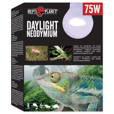 Repti Planet žiarovka Daylight Neodymium 75W