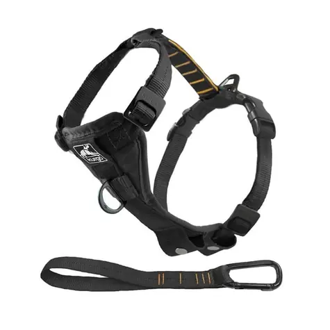 Kurgo® Tru-Fit Quick Release Postroj pre psov s autopásom čierny L