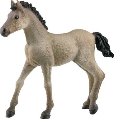 Schleich Horse Club 13949 Žriebä Criollo Definitivo / od 3 rokov
