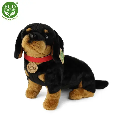 RAPPA Plyšový pes jazvečík 30 cm / ECO-FRIENDLY / od 0 mesiacov