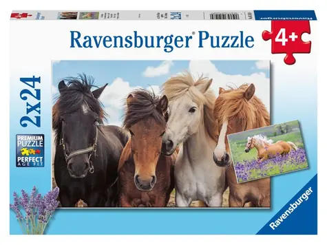 Ravensburger - Puzzle - Fotky koní / 2x24 dielikov / od 4 rokov