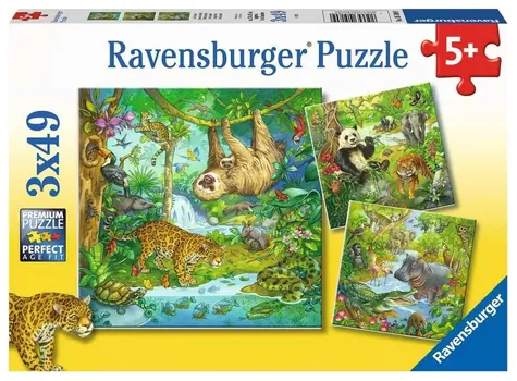 Ravensburger Zvieratá v džungli / 3x49 dielikov / od 5 rokov 