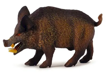 Collecta Prasa divoké kanec / od 3 rokov