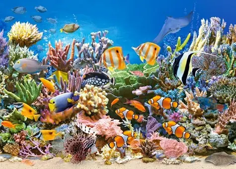 Castorland 27279 Farby oceánu / 260 dielikov / od 8 rokov