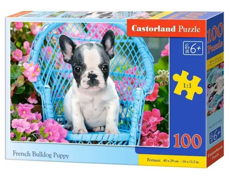 Castorland 111152 Šteňa francúzskeho buldočka / 100 dielikov / od 6 rokov