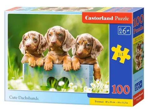 Castorland 111213 Roztomilí jazvečíci / 100 dielikov / od 6 rokov