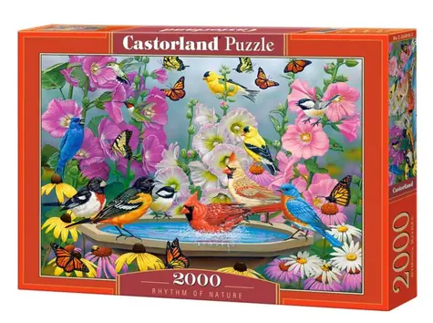 Castorland 200818 Rytmus prírody / 2000 dielikov / od 9 rokov