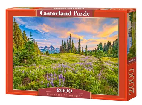 Castorland 200863 Ranné kvety / 2000 dielikov / od 9 rokov