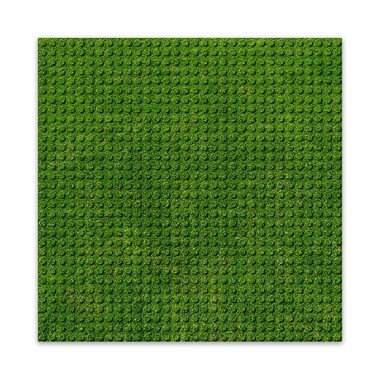 BRIXIES PLUS 225.000 Dizajnová podložka na stavanie - tráva 25,5 x 25,5 cm