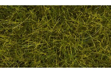 Nôch Statická tráva divoká XL Lúka / 12 mm / G (mierka 1:22.5) / od 14 rokov