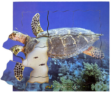 Just Jigsaws 605 Korytnačka a jej životný cyklus - drevené vrstvené puzzle / 19 dielov / od 3 rokov