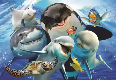 ANATOLIAN Puzzle Morská selfie / 500 dielikov / od 12 rokov