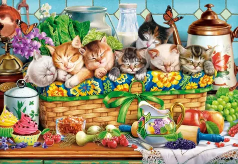 Castorland 105069 Puzzle Driemajúce mačiatka / 1000 dielikov / od 9 rokov