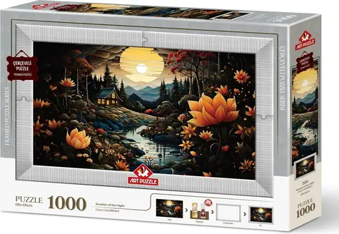 ART PUZZLE 5666 Puzzle s rámom a lepidlom 3v1 Nočné krásky / 1000 dielikov / od 15 rokov