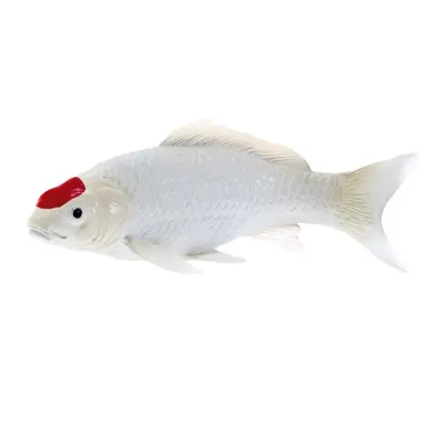 Mojo Kapor koi tancho / od 3 rokov