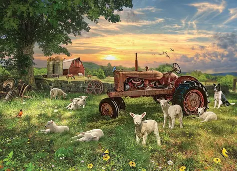 COBBLE HILL Puzzle Pole pri východe slnka / 1000 dielikov / od 14 rokov