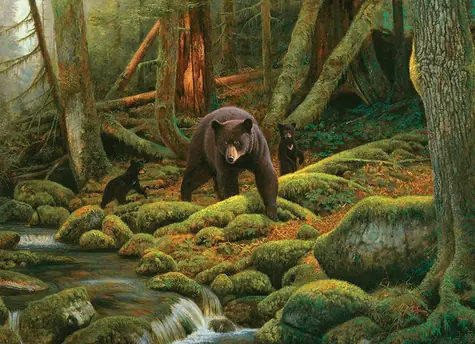 COBBLE HILL Puzzle Matka Príroda / 1000 dielikov / od 14 rokov