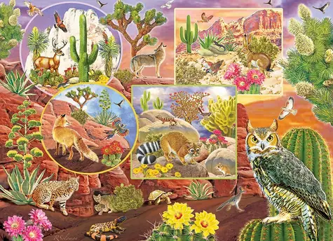 COBBLE HILL Rodinné puzzle Kúzlo púšte / 350 dielikov / od 9 rokov