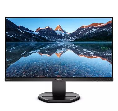 25" Philips 252B9 / IPS / 1920 x 1200 / 16:10 / 5ms / 300cd-m2 / 1000:1 / HDMI + DP + DVI-D + VGA / VESA / Repro