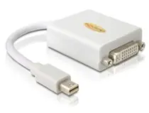 DeLock adaptér DisplayPort mini (samec) na DVI 24+5 (samica), biely