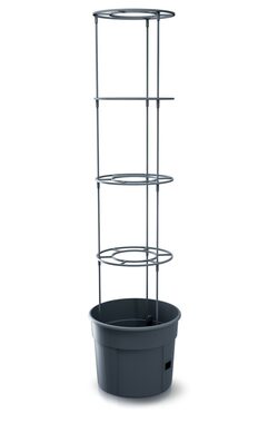 Prosperplast TOMATO GROWER Kvetináč na pestovanie paradajok 29.5 cm antracit