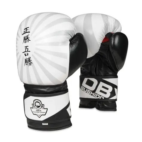 BUSHIDO B-2V8 14 OZ BOXERSKÉ RUKAVICE DBX 