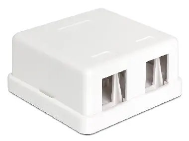 DeLock Keystone Box pre 2 porty / na stenu