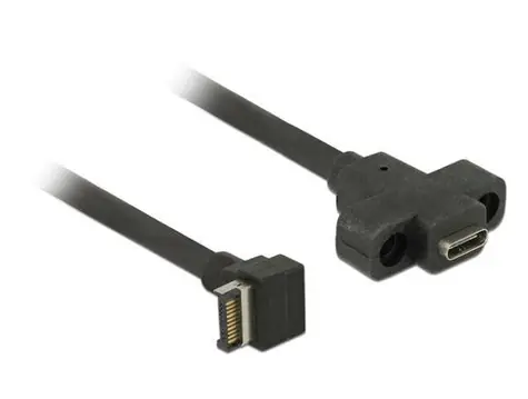 DeLock kábel s montážou na panel USB 3.1 Gen 2 key A 20 pin samec > USB 3.1 Gen 2 USB Type-C samica 45 cm