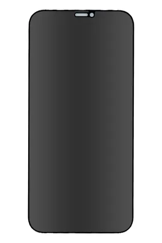 Forever Privacy Tvrdené sklo pre Apple iPhone 12 Pro Max 6.7"