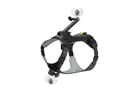 Insta360 Držiak pre akčnú kameru na postroj domáceho maznáčika (Veľkosť S)