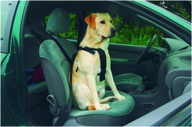 Beeztees Bezpečnostný postroj do auta M