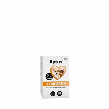 Aptus Attapectin 30 tabliet (trávenie) 