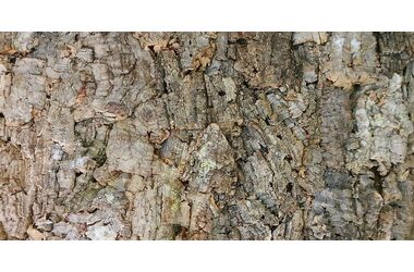 Lucky Reptile Korkové pozadie - Drsné 60x30 cm