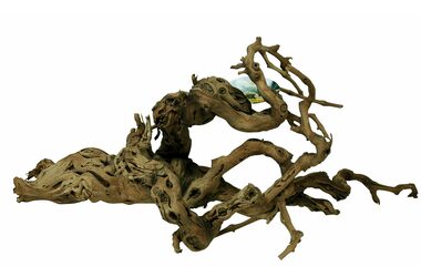 Lucky Reptile Grapevine Premium 60-100 cm