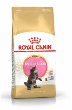 Royal Canin Maine Coon Kitten 4 kg / Granule pre mačky