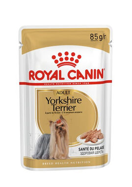 Royal Canin Yorkshire Terrier Adult 12 x 85 g / Kapsičky pre psov
