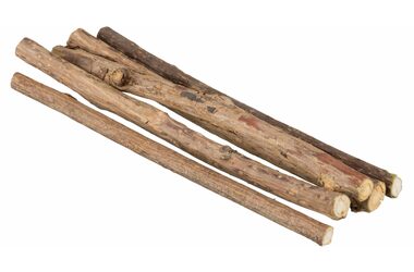TRIXIE 42427 Hryzacie tyčinky MATATABI 10 g