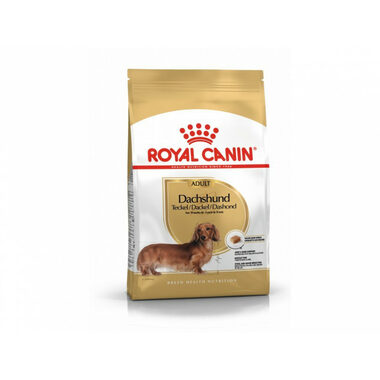 Royal Canin Dachshund Adult 500 g / Kompletné krmivo pre hladkosrsté &amp; dlhosrsté alebo drsnosrsté jazvečík 