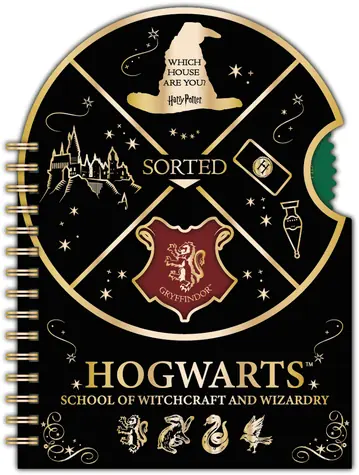 RMS Harry Potter Spinner blok Rokfort