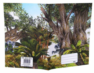 REAS-PACK Školský zošit 440 Baobab / Formát: A4 / Počet stránok: 40 / Čistý