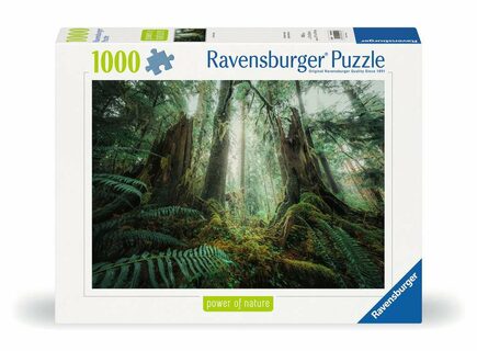 Ravensburger Les