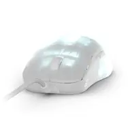 Endgame Gear OP1 RGB biela / Herná optická myš / RGB / Switch: Kailh GX & GM 2.0 / 26.000 DPI / 6 tlačidiel / USB-A