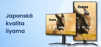 iiyama