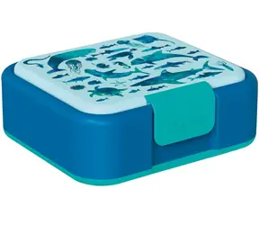 Boxy na desiatu